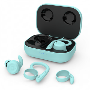 true wireless earbuds with portable charging case Bluetooth 5.0 stereo sound